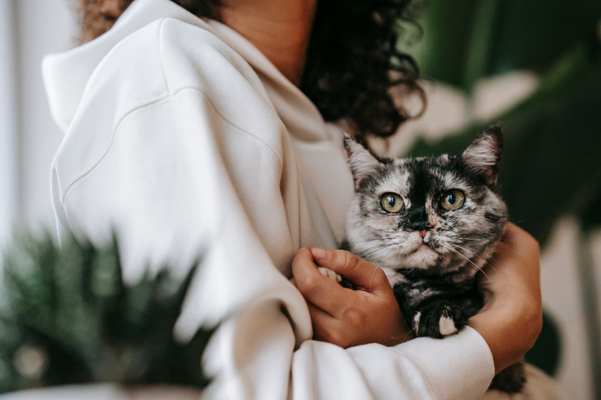 A lady with her cat sitting comfortably