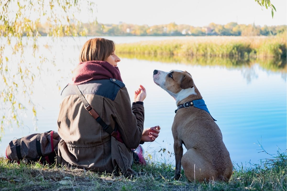 Woman sitting by a lake offering a treat to her dog as they look at each other.