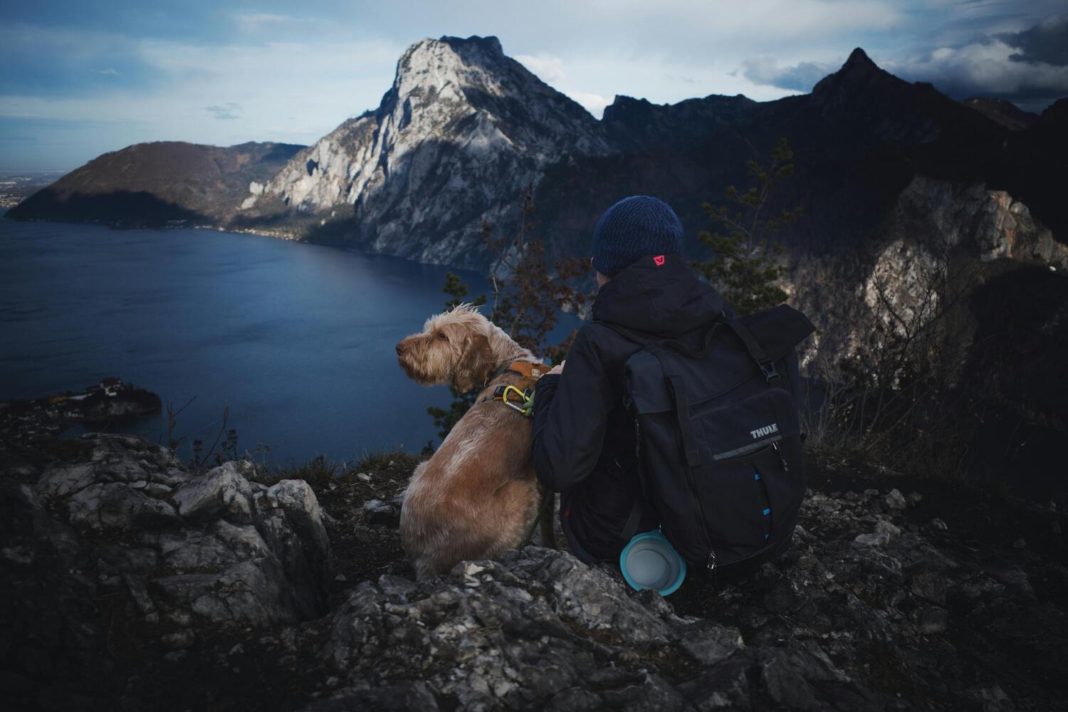 A person and dog with an adventurous hiking personality