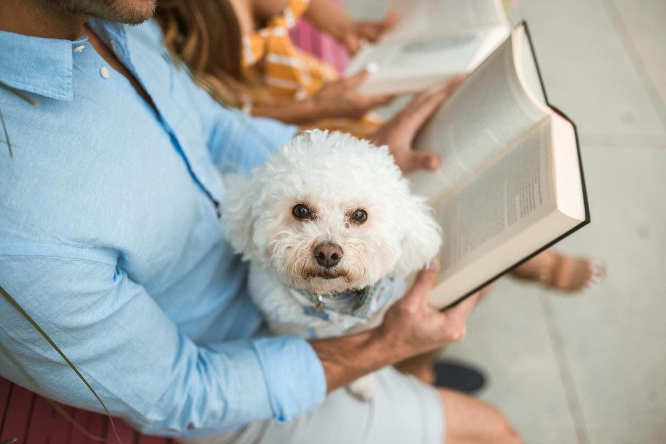 A person reading with a dog on their lap