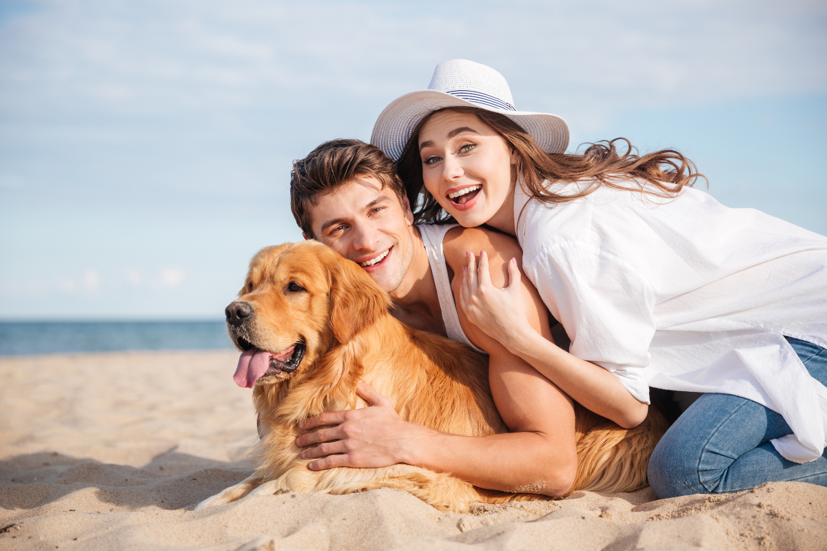 Cancer season dog bonding moment of a family on the beach together with their dog, a golden retriever.