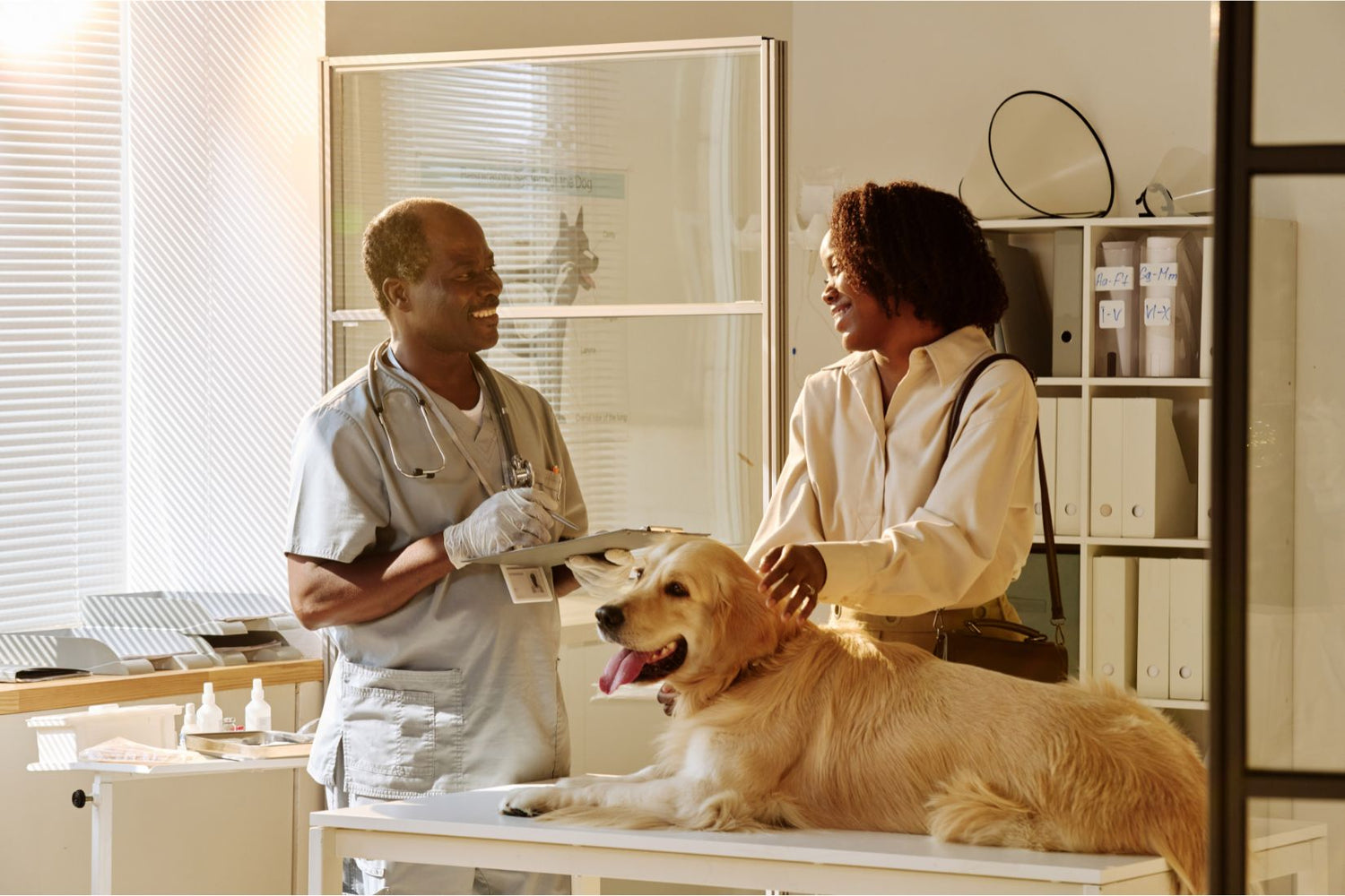 Responsibilities of a pet owner include routine vet check-ups