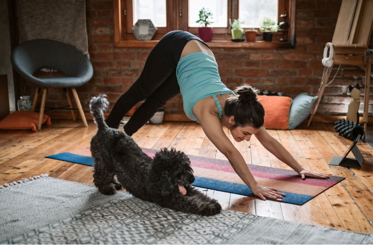 Black dog and a woman doing Yoga in a livingroom