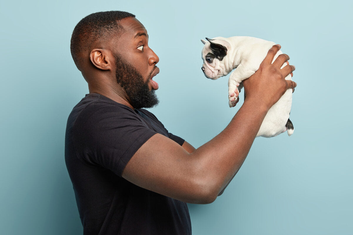 A man showing The Four Primary Types Of Pet Behavior