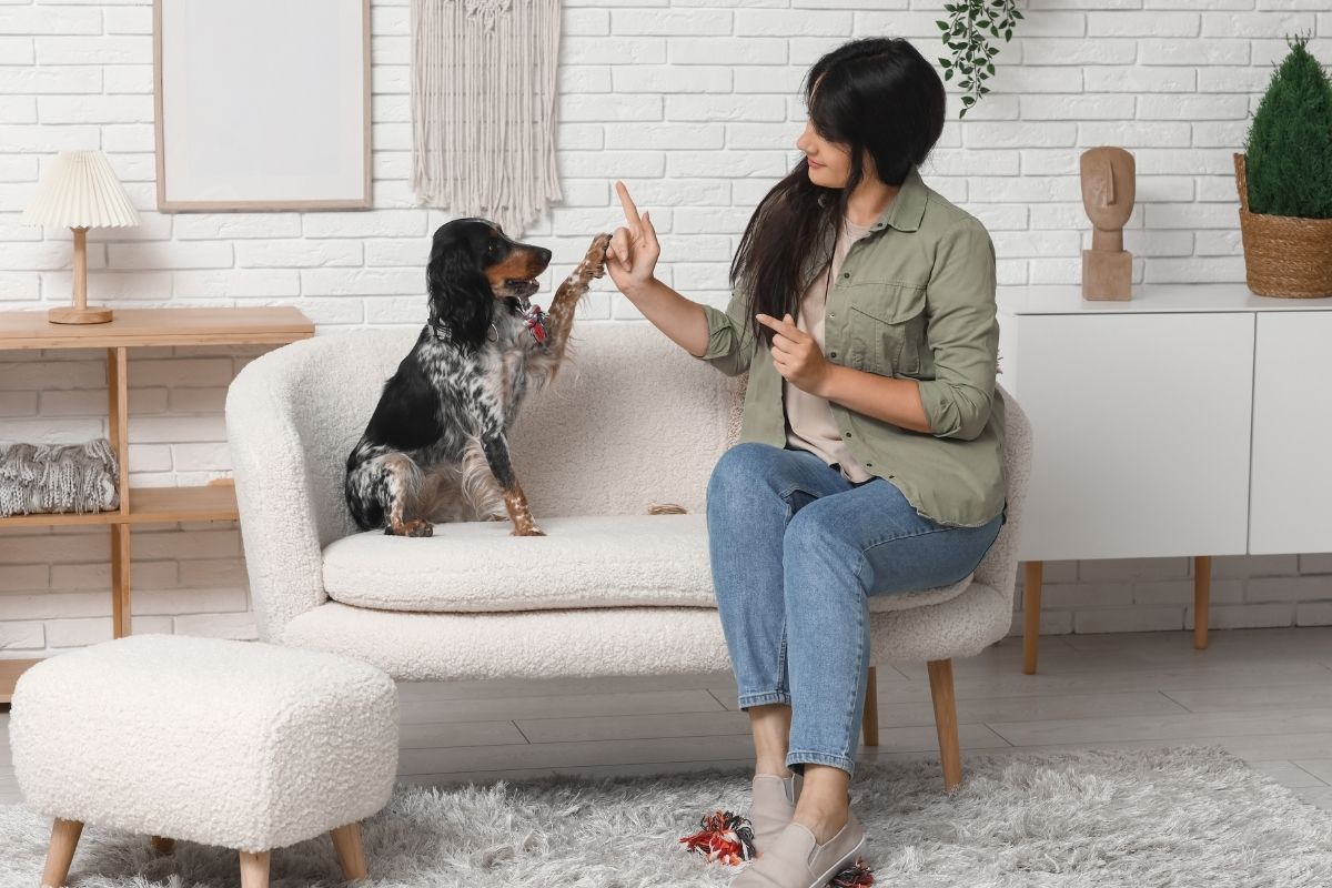 A woman and a dog sharing a high-five on a white couch