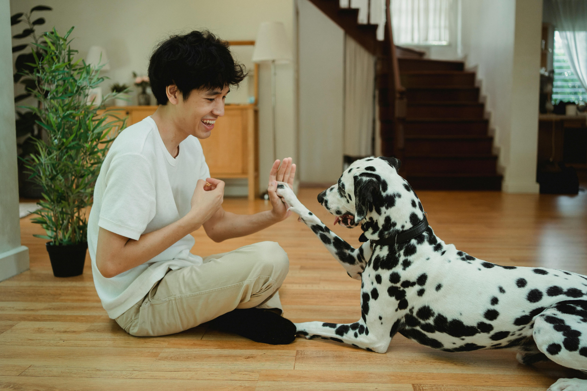 Man sitting on the floor, holding out a treat to his dog while teaching it a trick