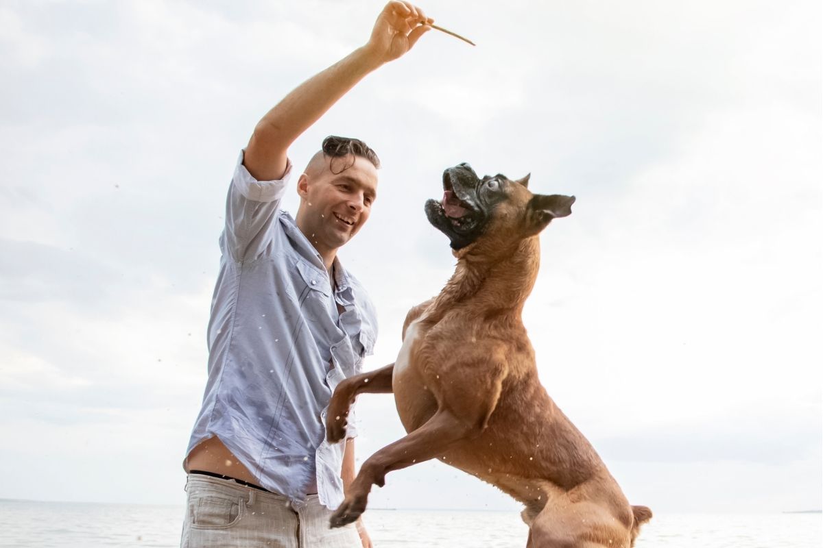 A man playing with his dog