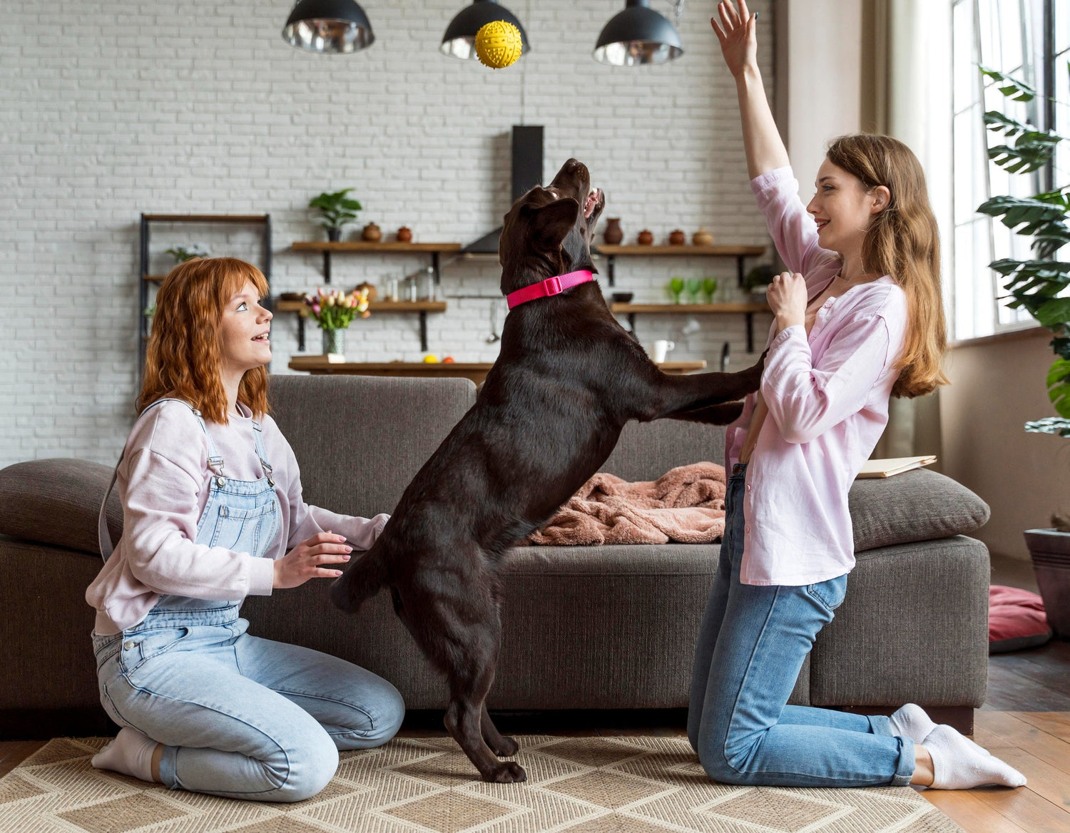 Full shot women and dog playing together