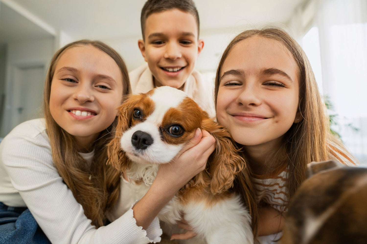 A young girl chooses her pets based on the zodiac signs for dogs and cats